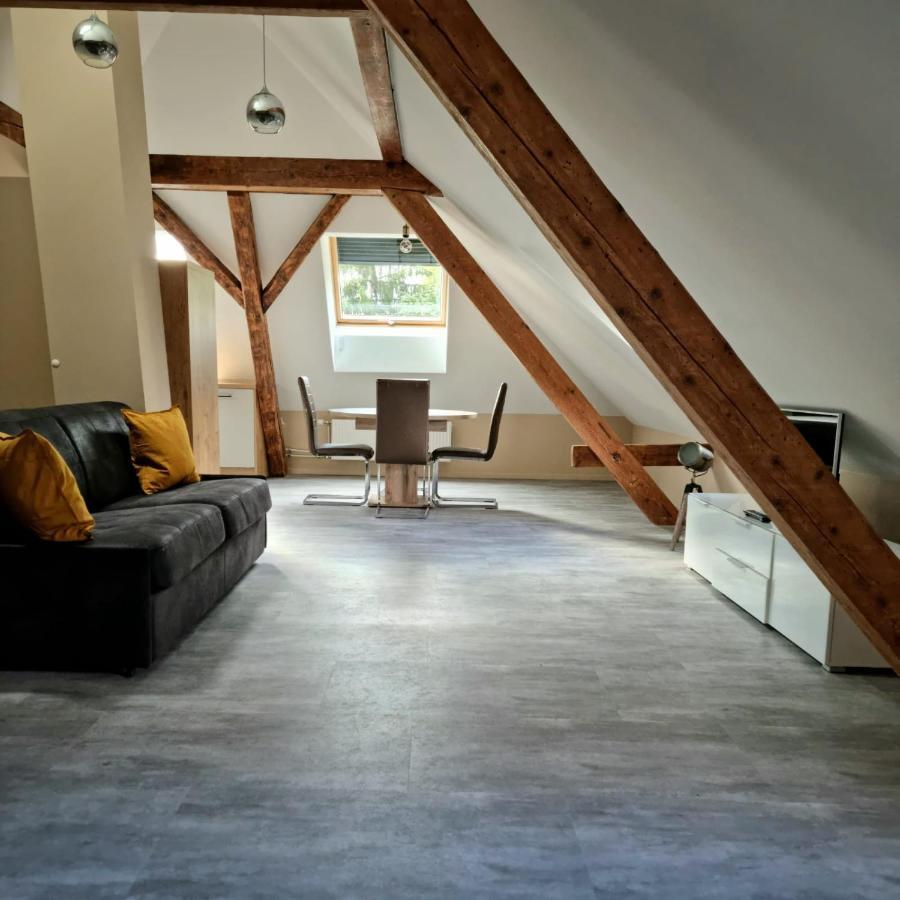 Henner Des Trois Frontieres Appartement Saint-Louis  Buitenkant foto