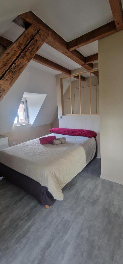 Henner Des Trois Frontieres Appartement Saint-Louis  Buitenkant foto